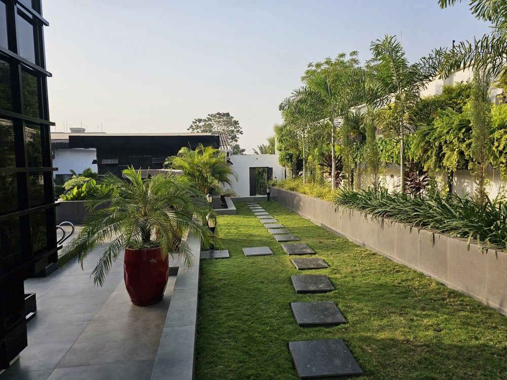 Professional Landscaping Services in Chennai for Homes & Commercial Spaces image 4