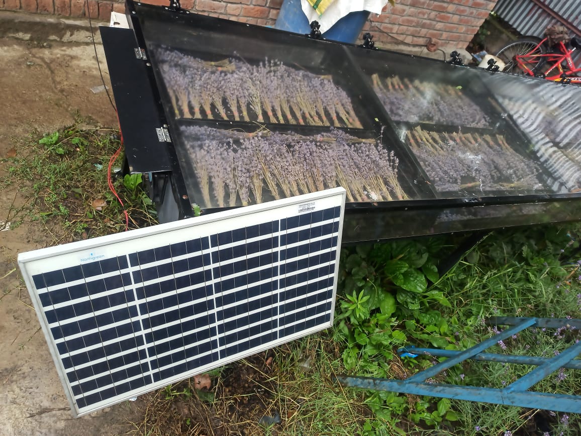 Solar Capsicum Dryer image 2