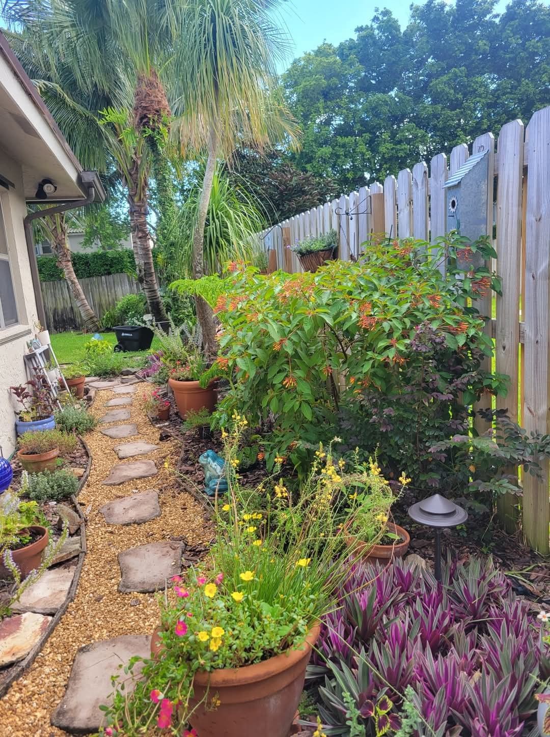 Professional Outdoor Garden Care Chennai image 4