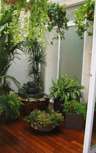 Chennai Indoor Plant Installation Service image 2