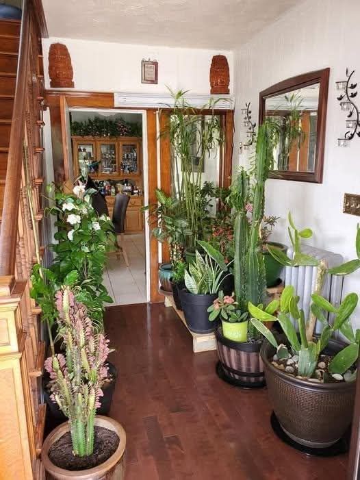 Indoor Gardening Contractors Chennai image 5