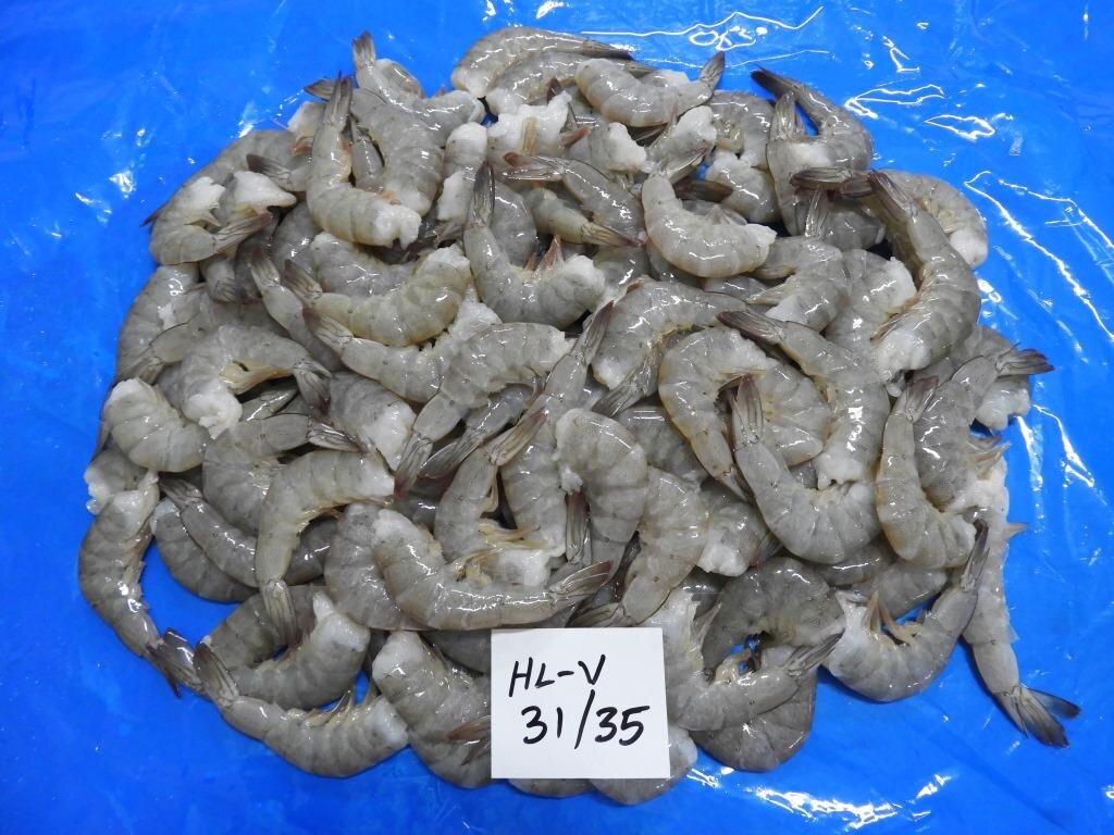 HEADLESS VANNAMEI SHRIMPS & PRAWNS (BLOCK) image 2