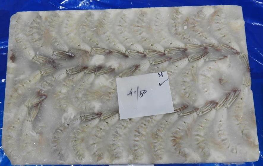 HEADLESS VANNAMEI SHRIMPS & PRAWNS (BLOCK) image 5