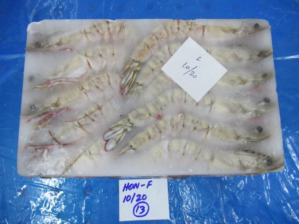 HEAD ON FLOWER SHRIMPS & PRAWNS image 3