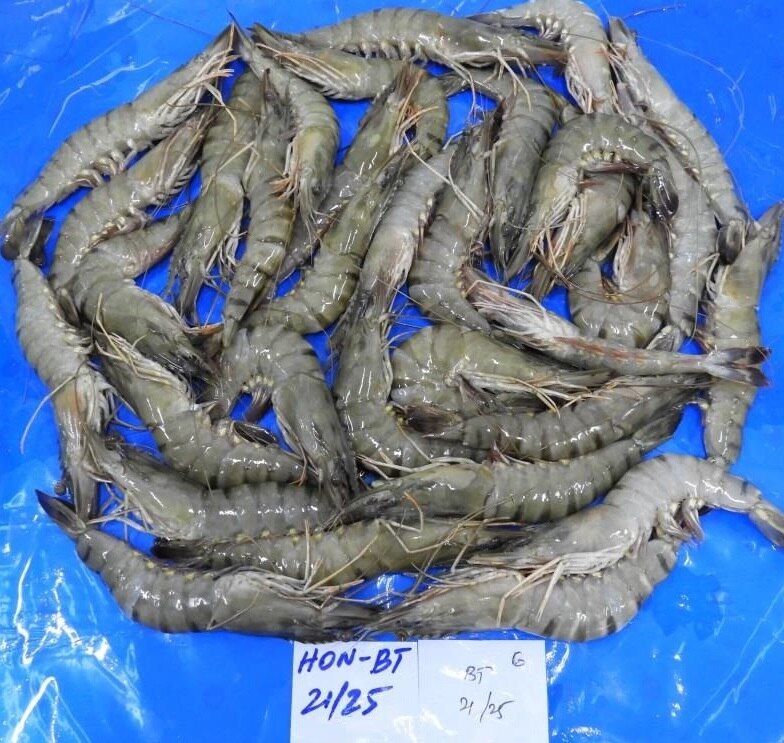 HEAD ON BLACK TIGER SHRIMPS & PRAWNS (BLOCK) image 4