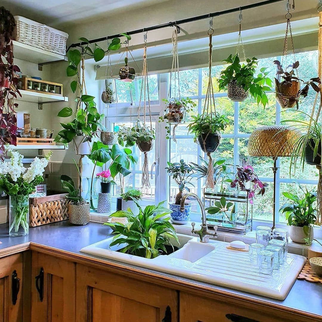 Indoor Plant Arrangement & Styling Chennai image 3