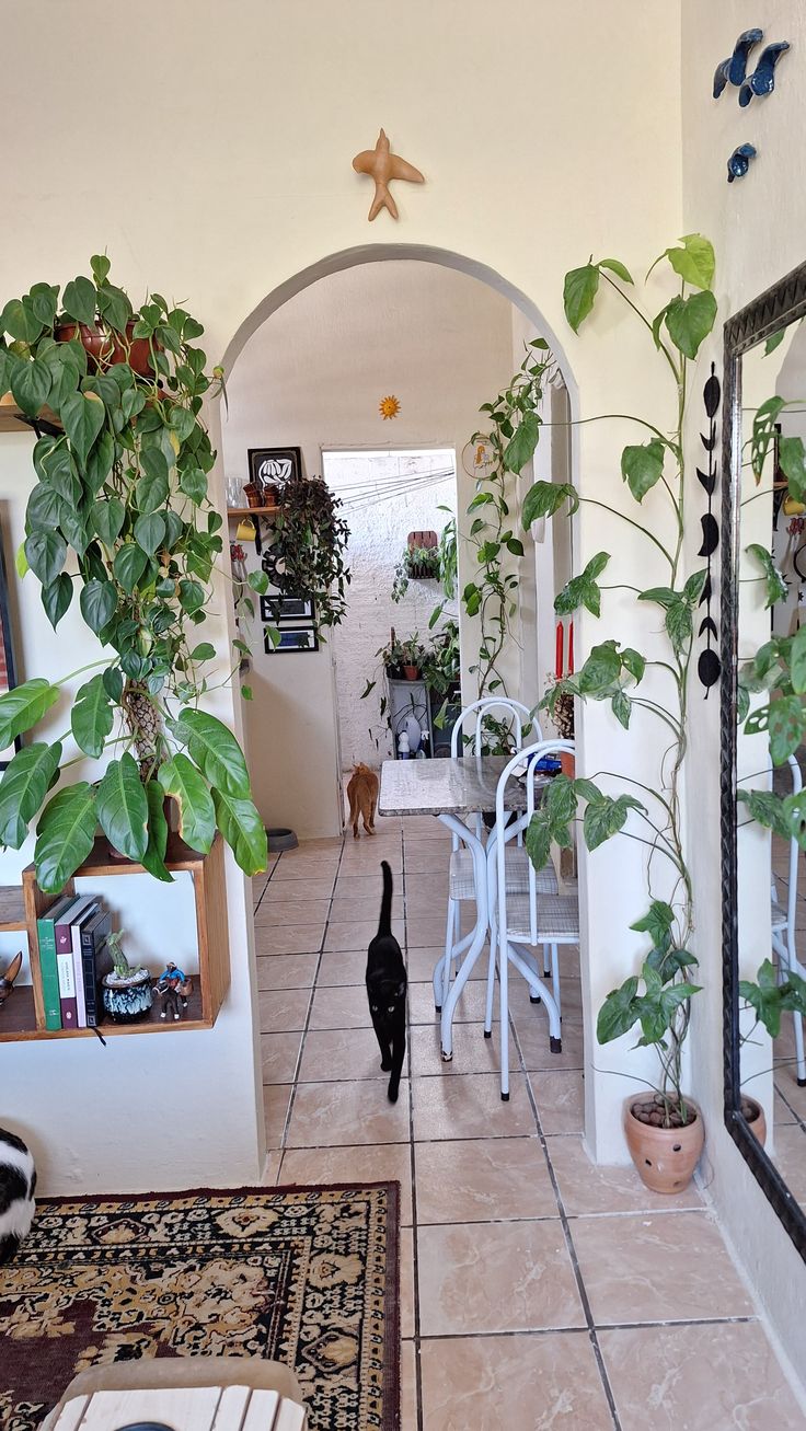 Indoor Gardening Service Near Me Chennai image 2