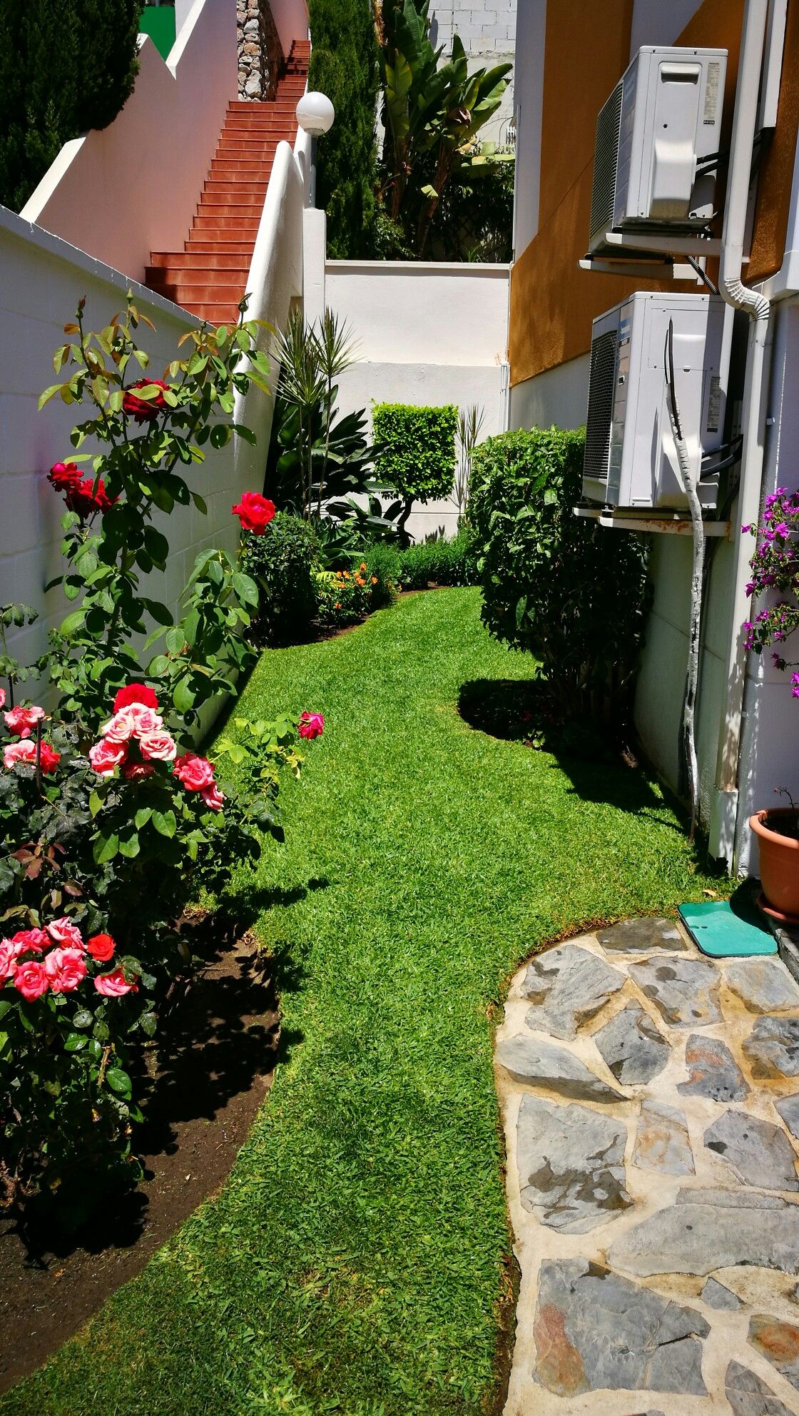 Backyard Irrigation & Landscaping Chennai image 2