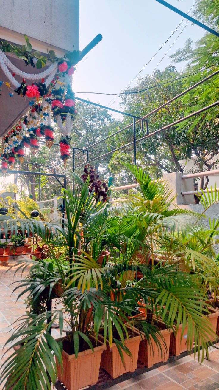 Natural Terrace Garden Landscaping Service in Chennai image 2