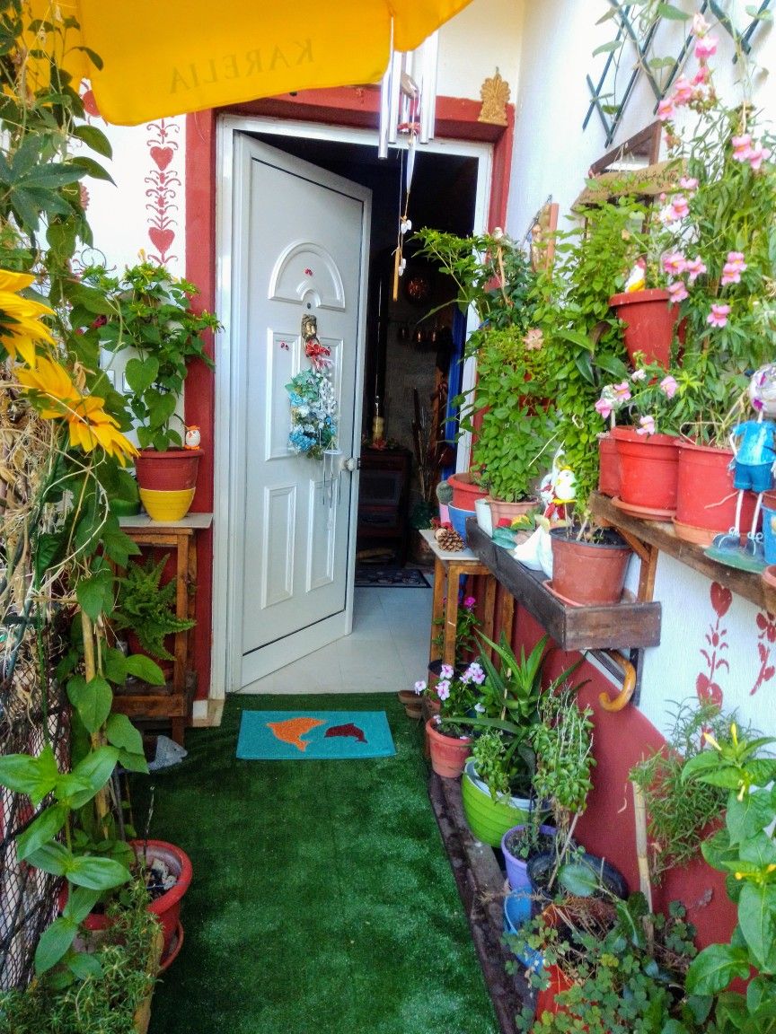 Outdoor Plant Supply & Setup Chennai image 5