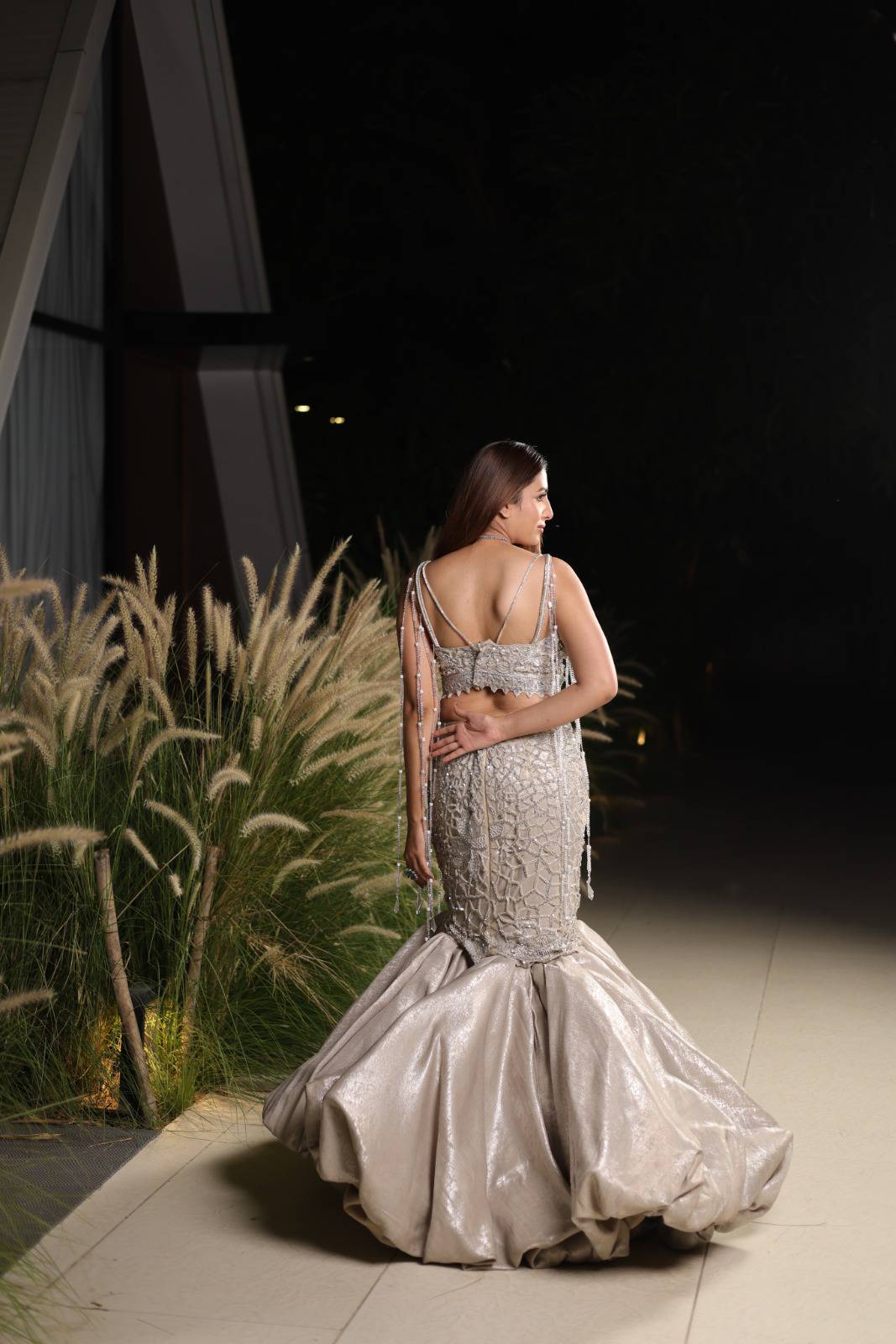 Silver Drape image 2