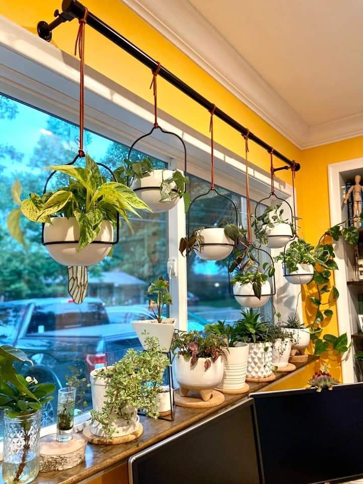 Indoor Plant Arrangement & Styling Chennai image 2