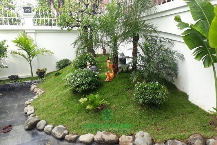 Professional Landscaping Services in Chennai for Homes & Commercial Spaces image 2