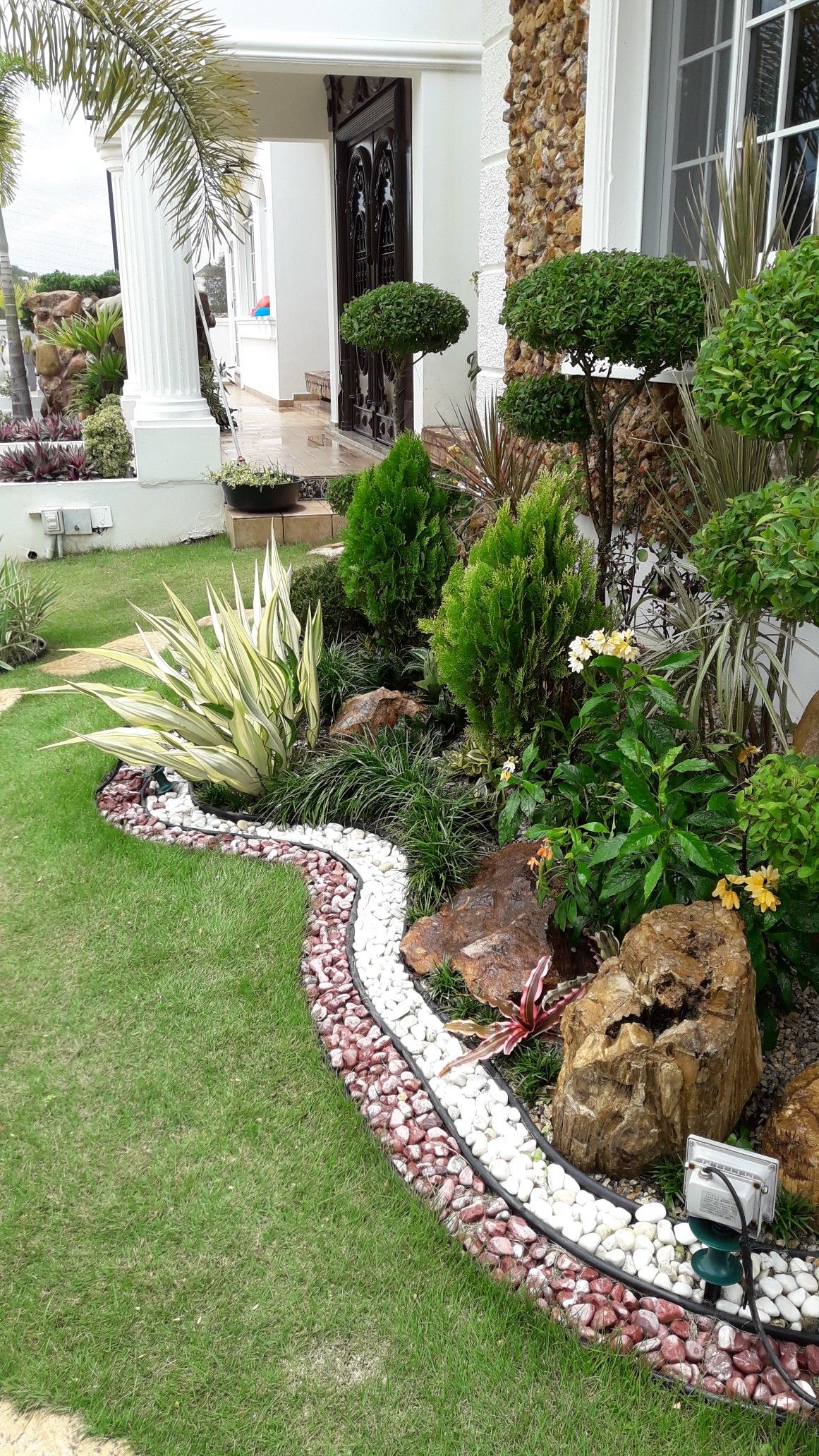 Creative Frontyard Garden Styling Chennai image 2