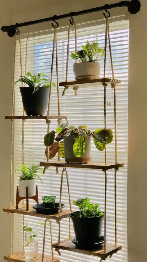 Indoor Gardening Consultancy Chennai image 3