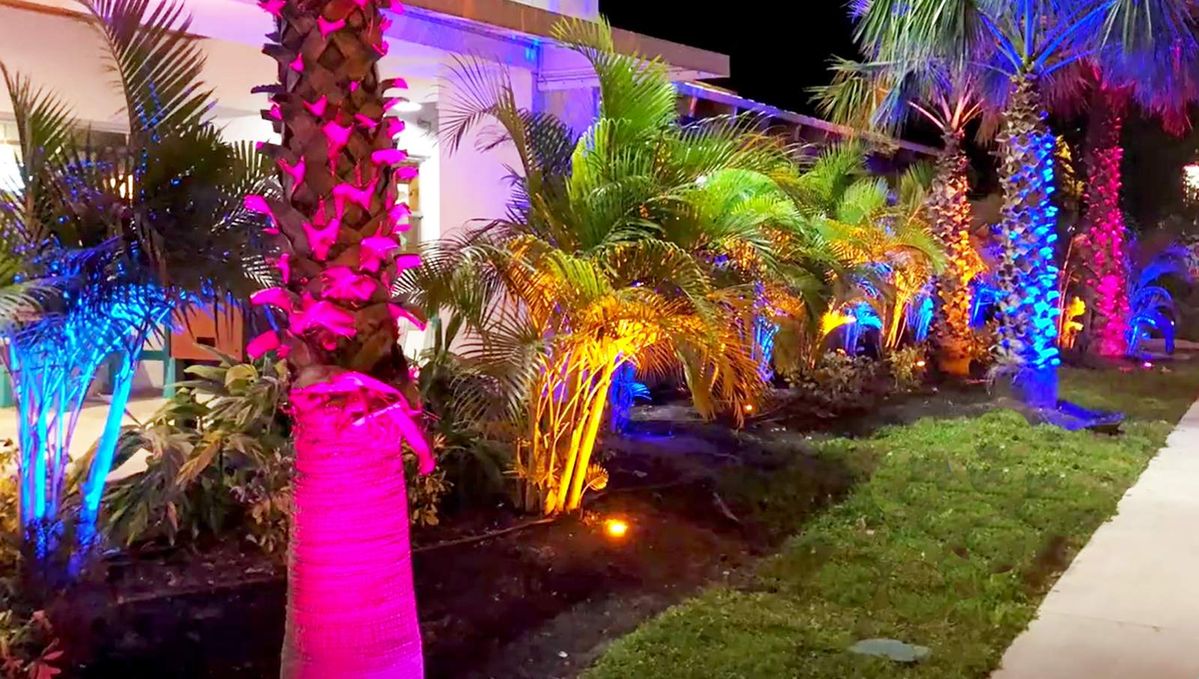 Outdoor Garden Lighting & Theme Setup Chennai image 4