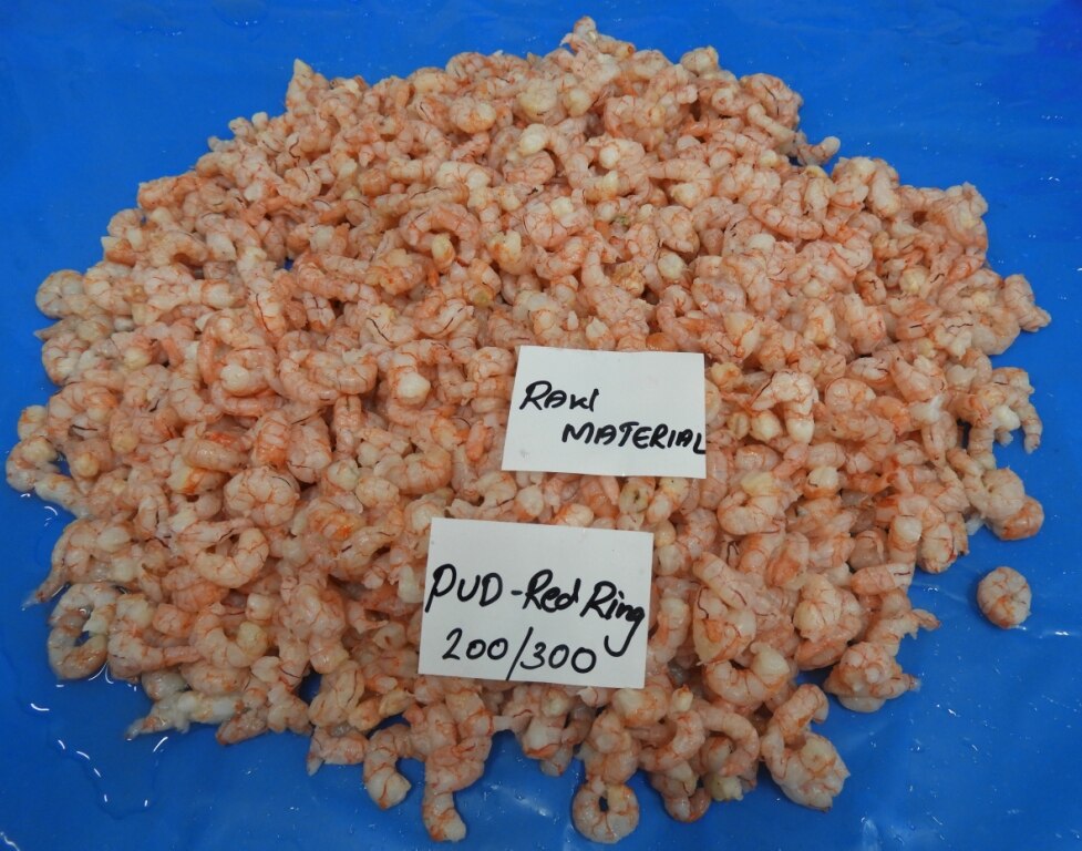 PUD RED RING SHRIMPS, BLOCK FROZEN image 3