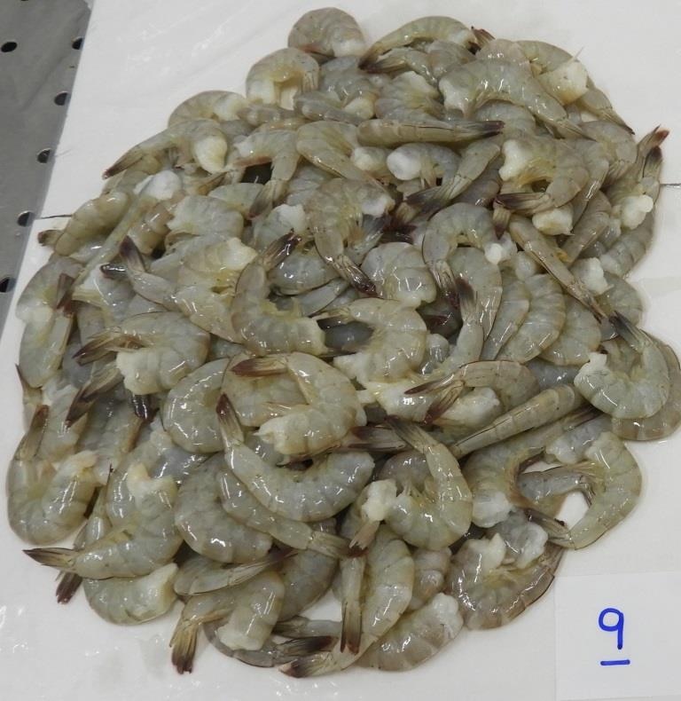 HEADLESS VANNAMEI SHRIMPS & PRAWNS (BLOCK) image 2