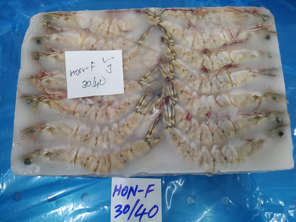 HEAD ON FLOWER SHRIMPS & PRAWNS (BLOCK) image 4