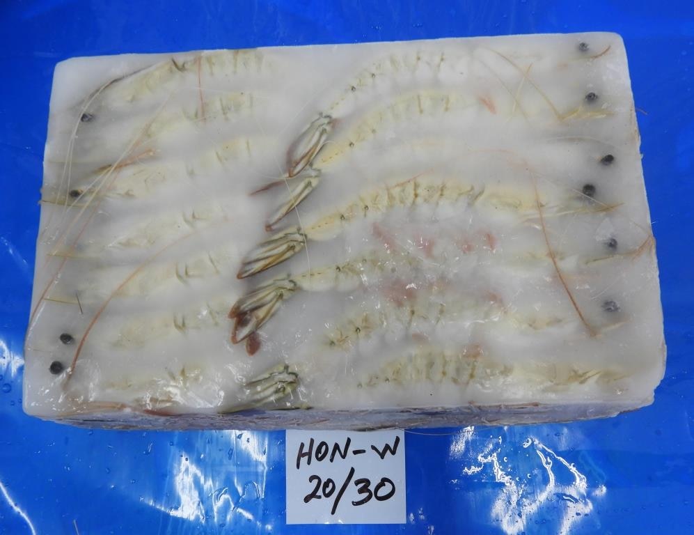 HEAD ON WHITE SHRIMPS/PRAWNS image 3