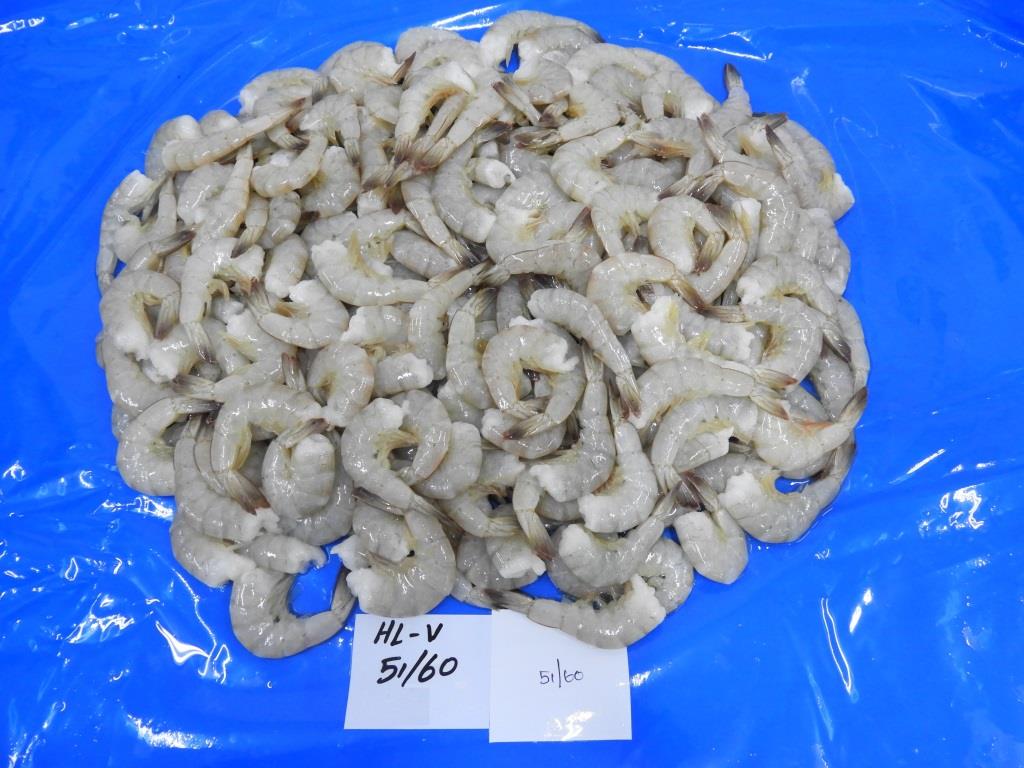 Headless Shell on Vannamei Shrimps image 3