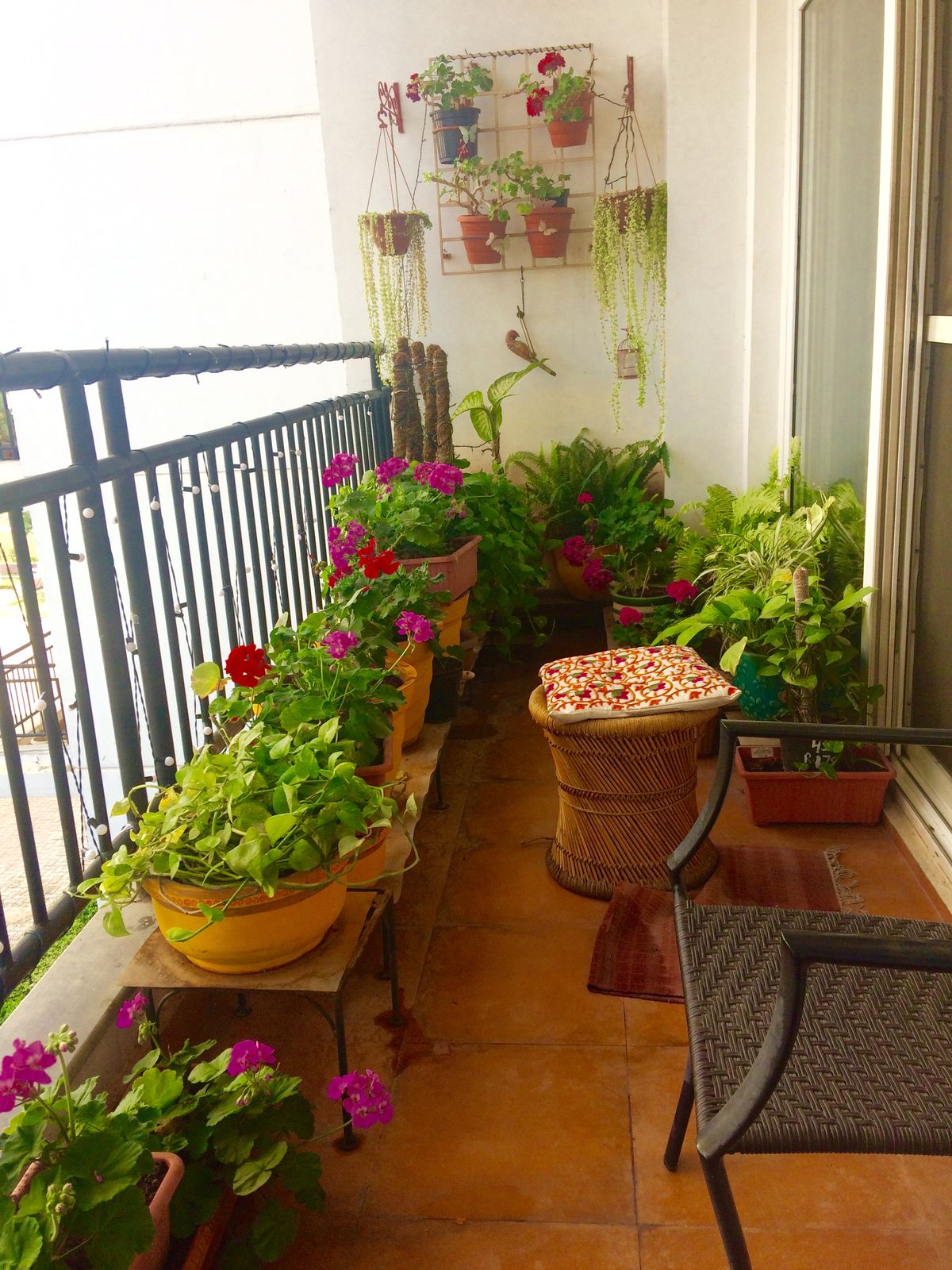 Natural Balcony Planting & Care Services in Chennai image 4