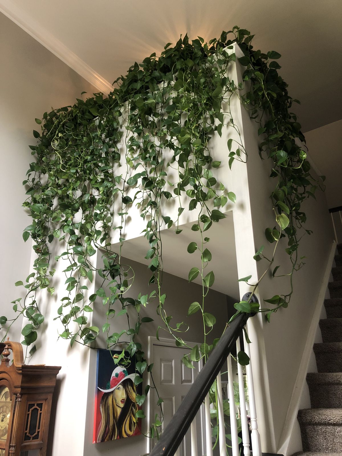 Top Indoor Garden Services Chennai image 4