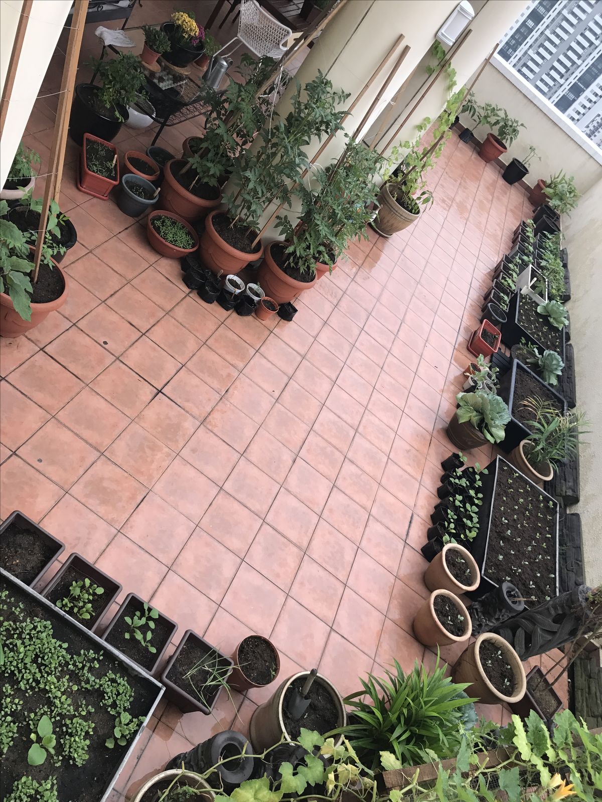 High-Quality Terrace Gardening Contractors in Chennai image 3