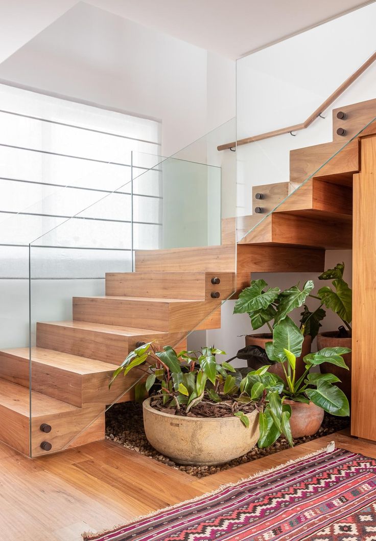 Best Indoor Garden Designers Chennai image 2