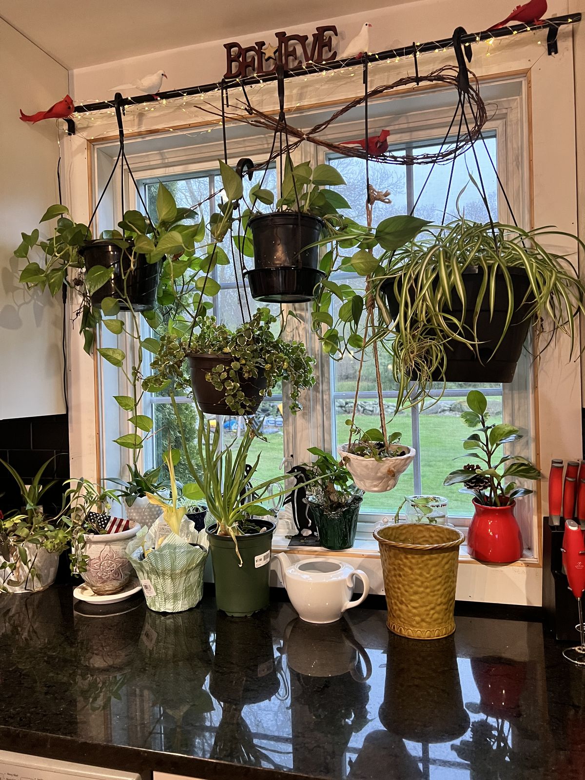 Indoor Plant Arrangement & Styling Chennai image 4