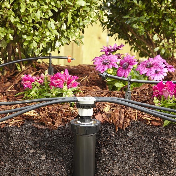 Outdoor Garden Drip Irrigation Setup Chennai image 5