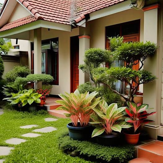 Residential Landscaping Services in Chennai for Stylish Outdoor Living image 4