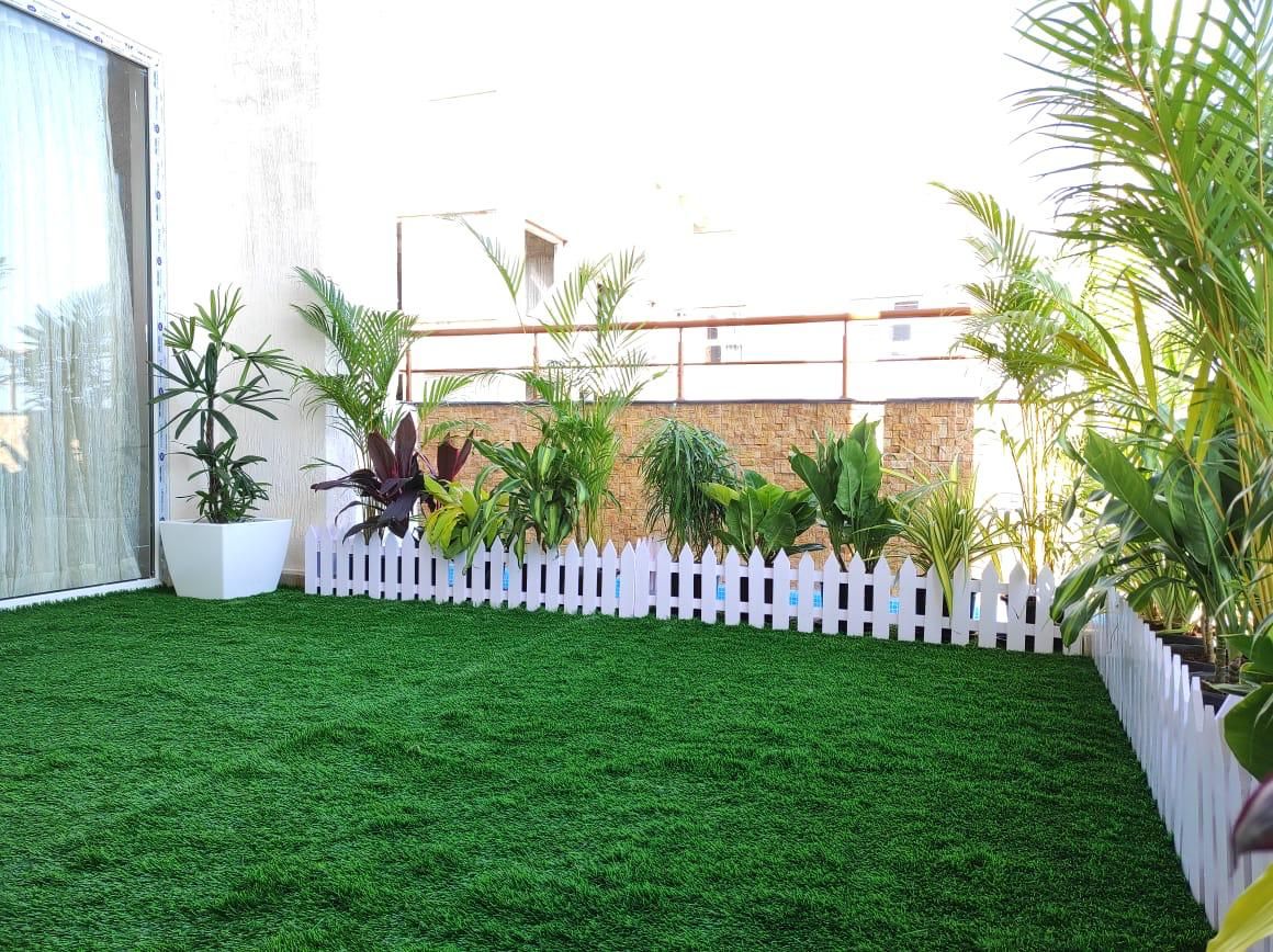 Terrace Gardening Service in Chennai for Homes & Apartments image 2