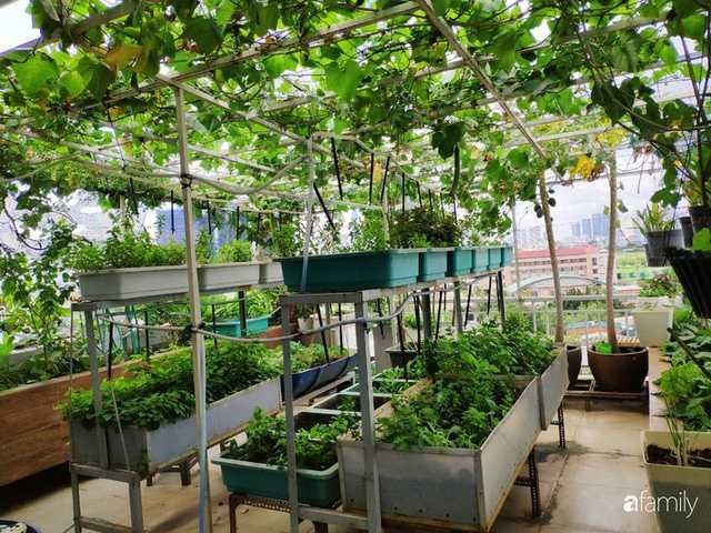 Organic Terrace Gardening Service in Chennai image 4