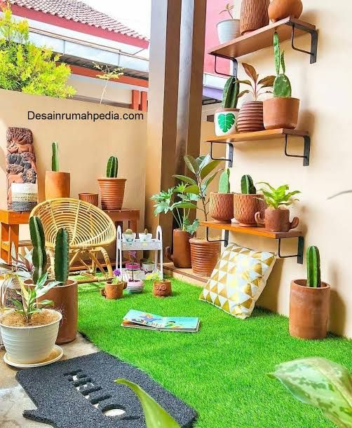 Outdoor Plants & Garden Makeover Service Chennai image 5
