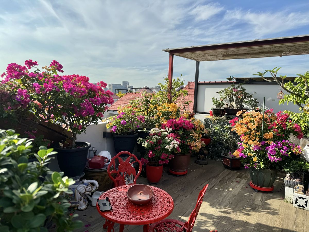 Outdoor Terrace Landscaping Service in Chennai image 2