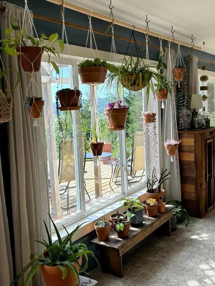 Indoor Plant Arrangement & Styling Chennai image 5