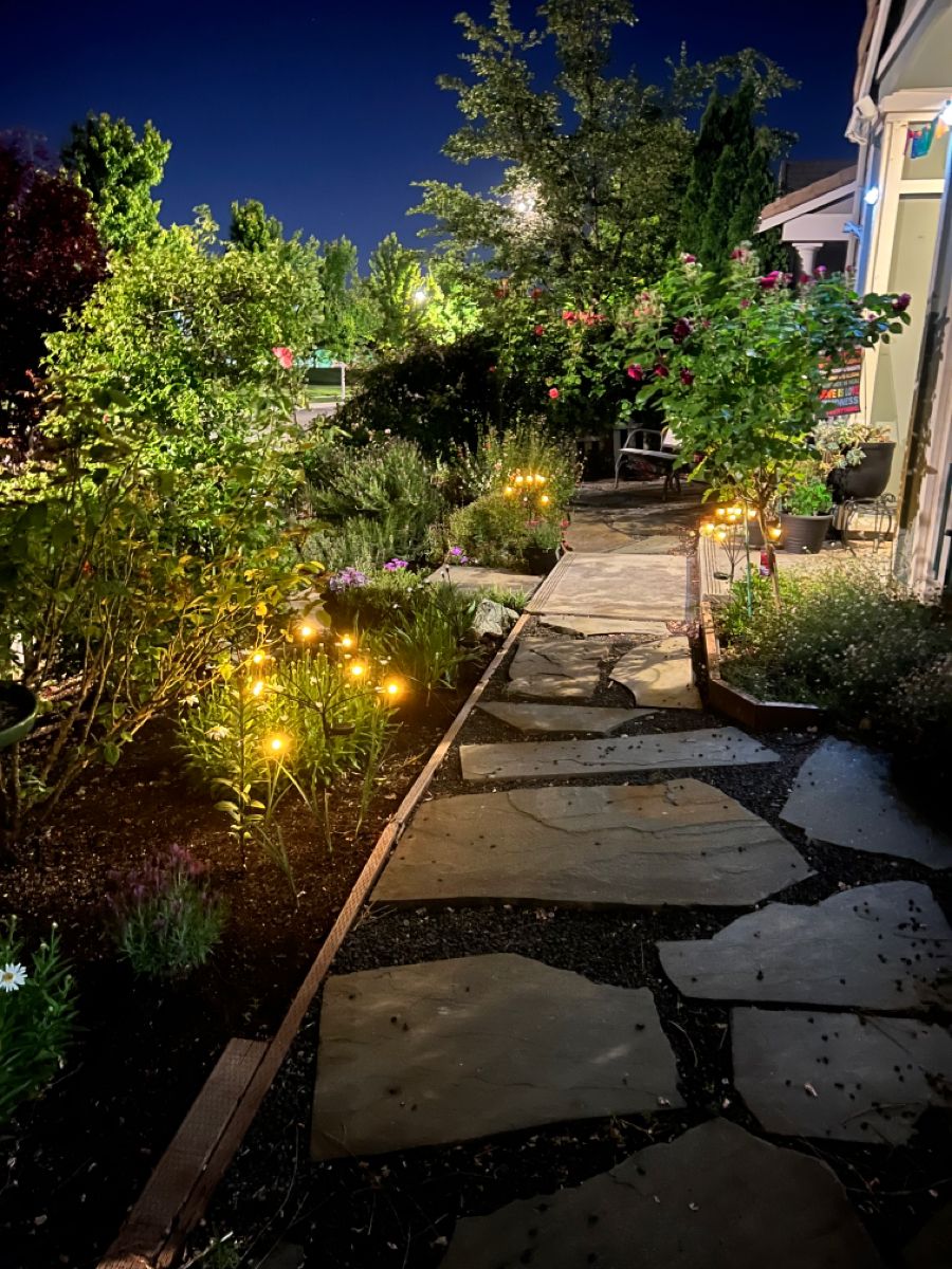 Outdoor Gardening Maintenance Packages Chennai image 4