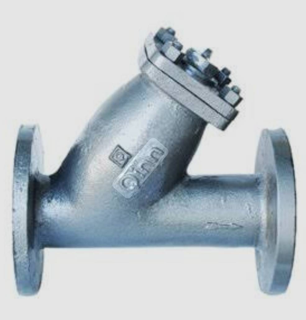 QINN MAKE C I Y TYPE STRAINER FLANGED END image 2