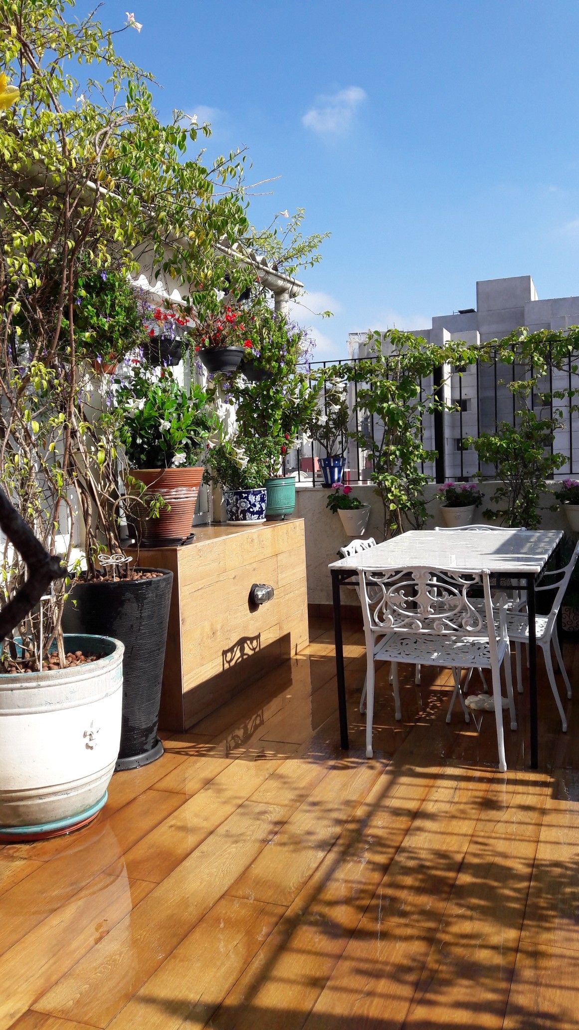 Outdoor Terrace Landscaping Service in Chennai image 3