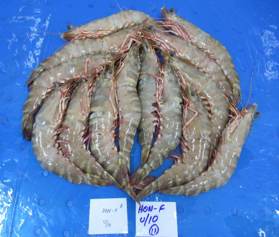 HEAD ON FLOWER SHRIMPS & PRAWNS (BLOCK) image 3