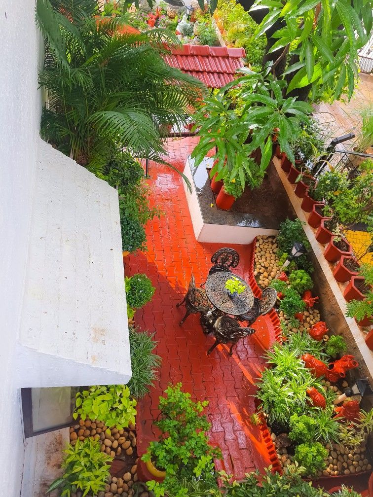 Outdoor Garden Redesign Services Chennai image 2