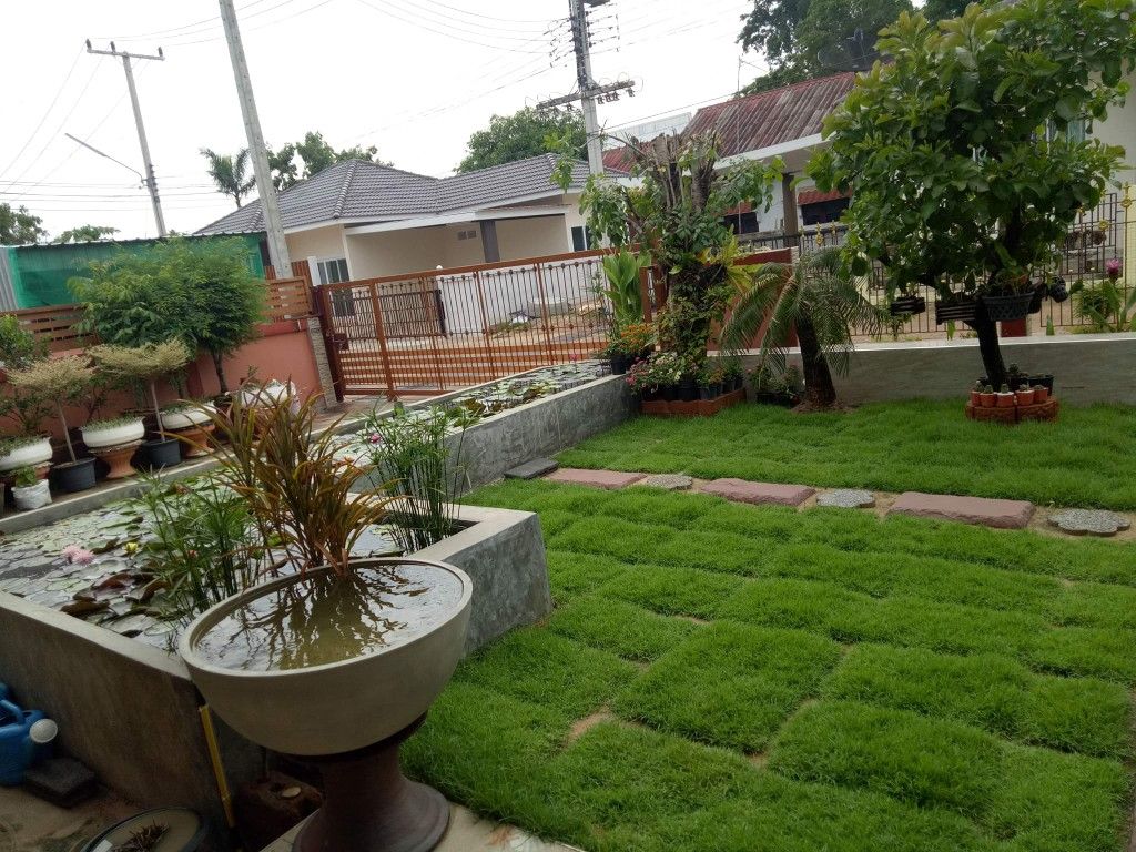 Outdoor Garden Maintenance Experts Chennai image 5