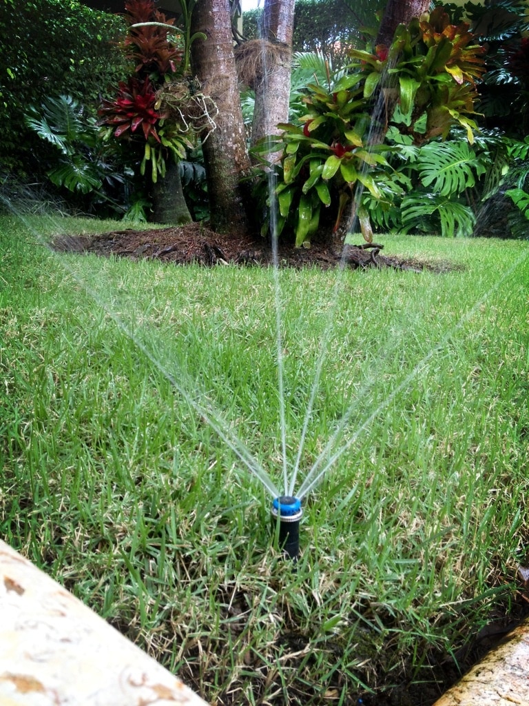 Frontyard Drip Irrigation Installation Chennai image 2