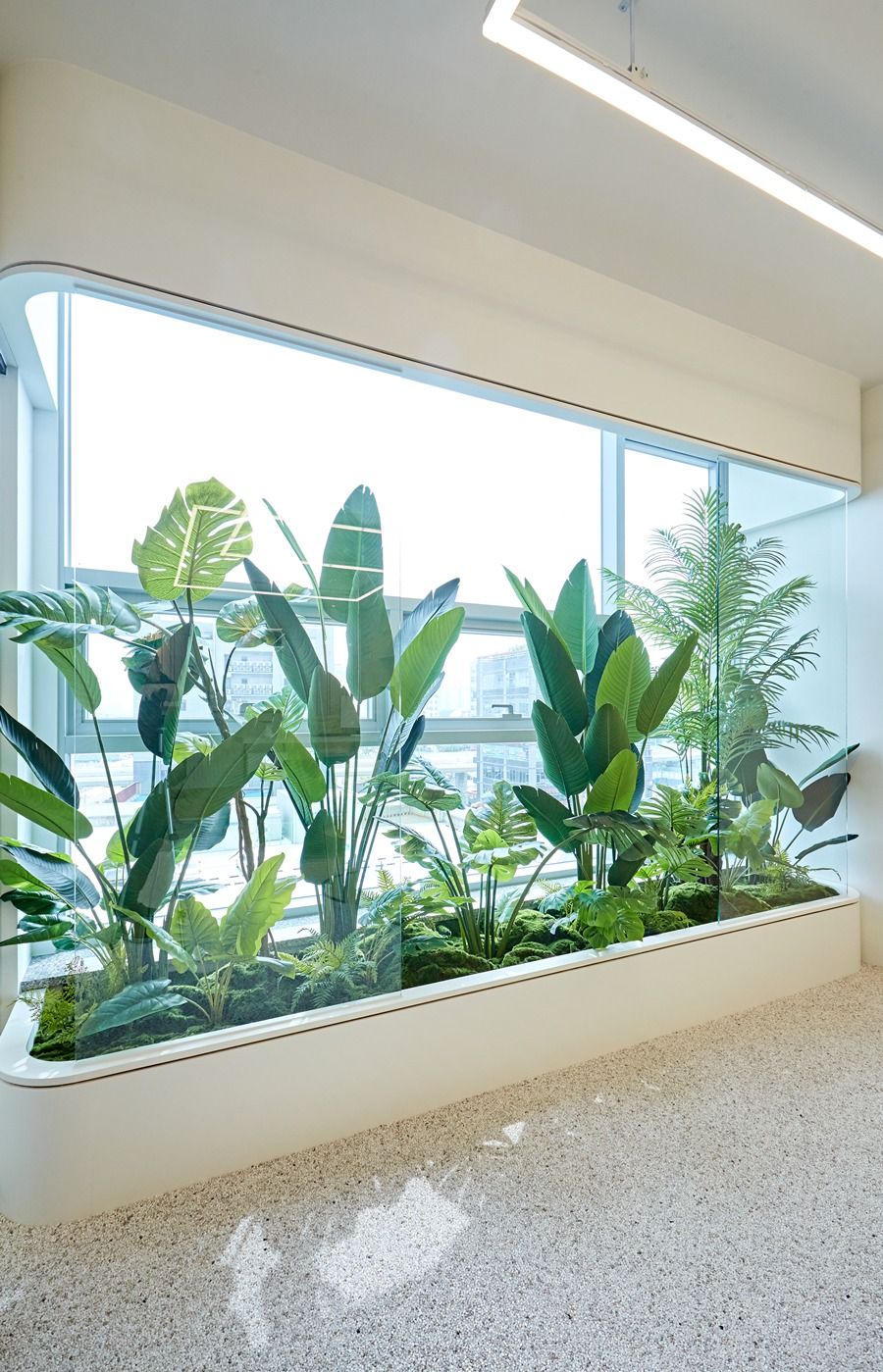 Indoor Plant Services for Offices Chennai image 2