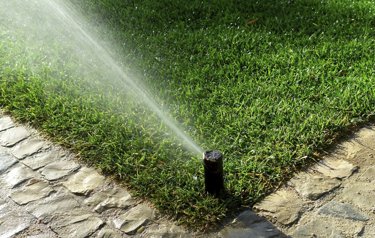Frontyard Drip Irrigation Installation Chennai image 5