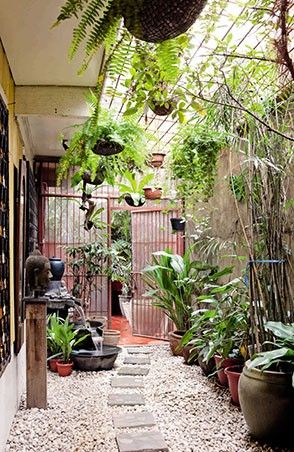 Outdoor Garden Decoration & Styling Chennai image 5