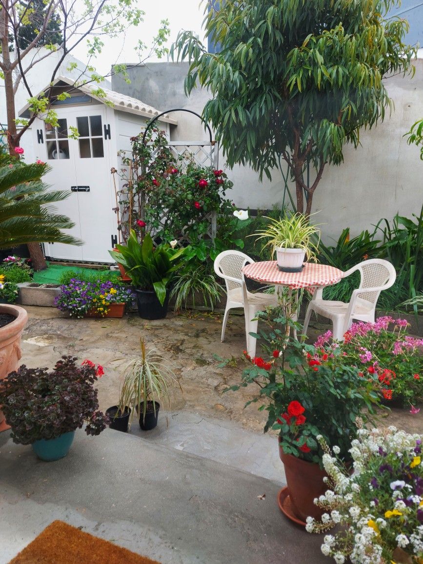 Villa Outdoor Gardening Service in Chennai image 3