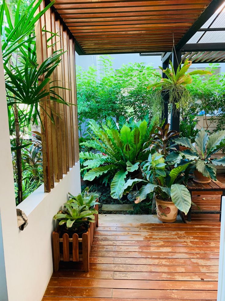 Home Outdoor Gardening Solutions Chennai image 5