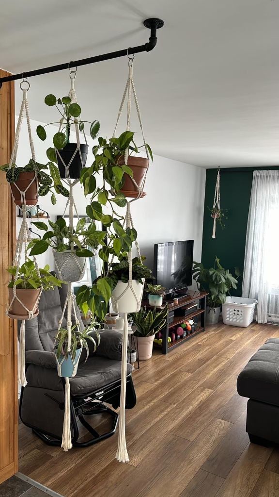 Indoor Gardening Consultancy Chennai image 4